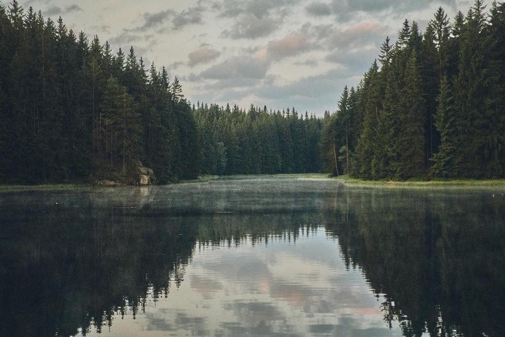 Příroda nedaleko apartmánu