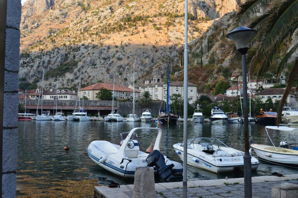 Apartments Qualitas - 8