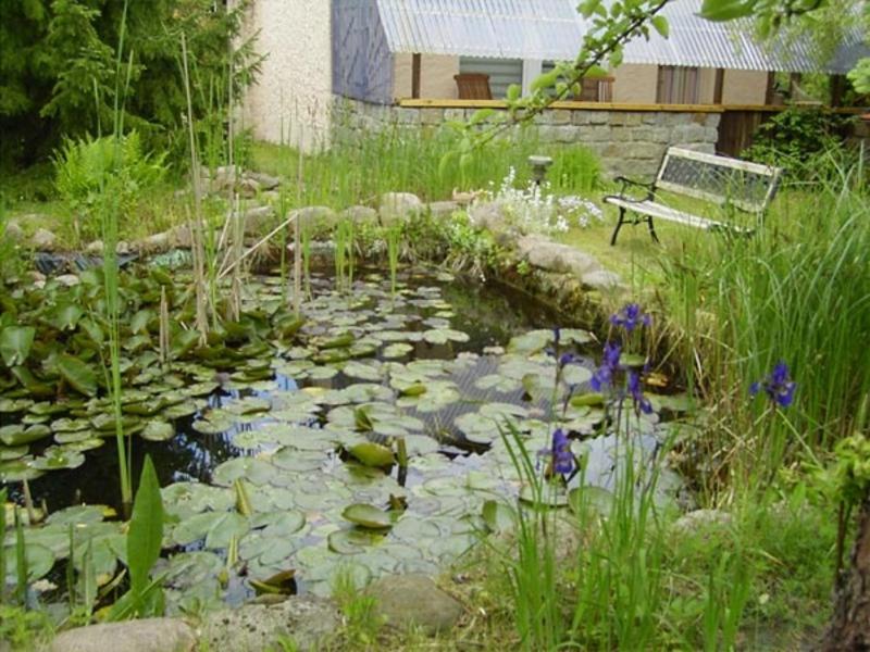 a pond with lilies and a bench in a garden at Ferienbungalow Daniela in Hoppenwalde