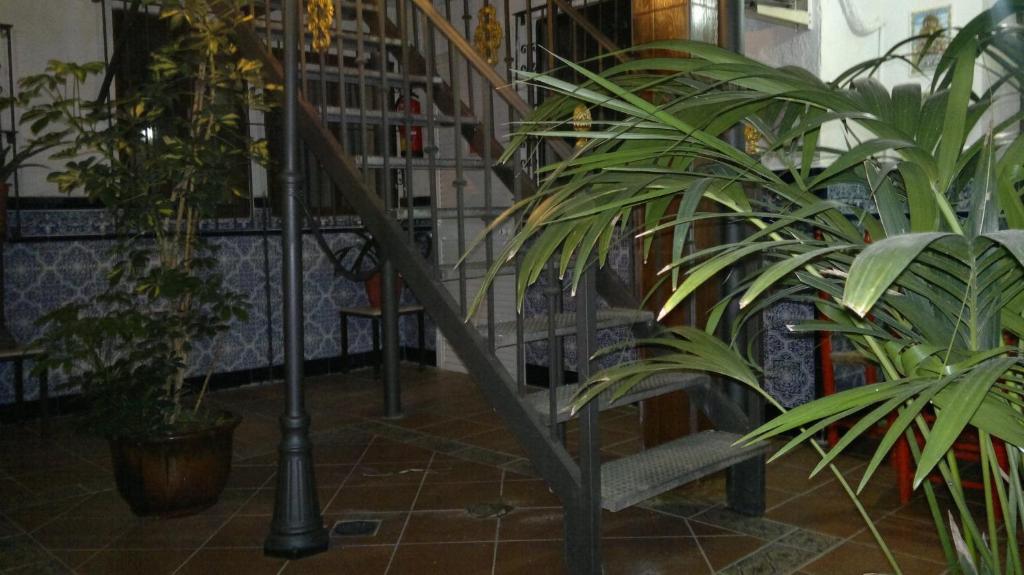 Fotografie z fotogalerie ubytování Hotel Nova Centro v destinaci Jerez de la Frontera