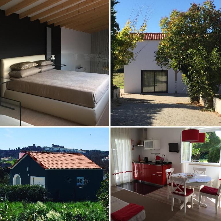 Horta dos Cedros - 6