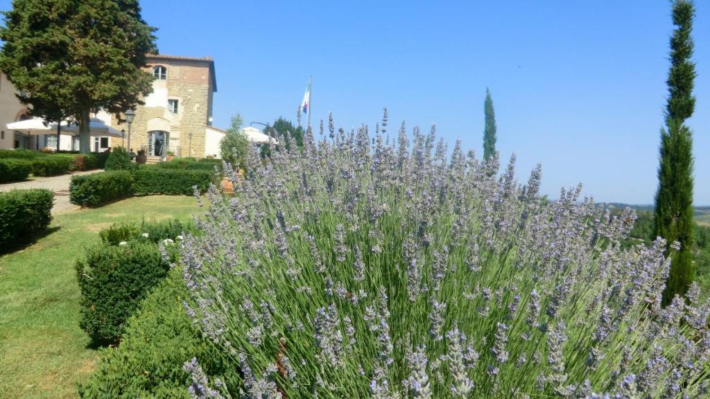 A garden outside Appartamenti AVA e TEGRINO nell'antica dimora di Fulignano