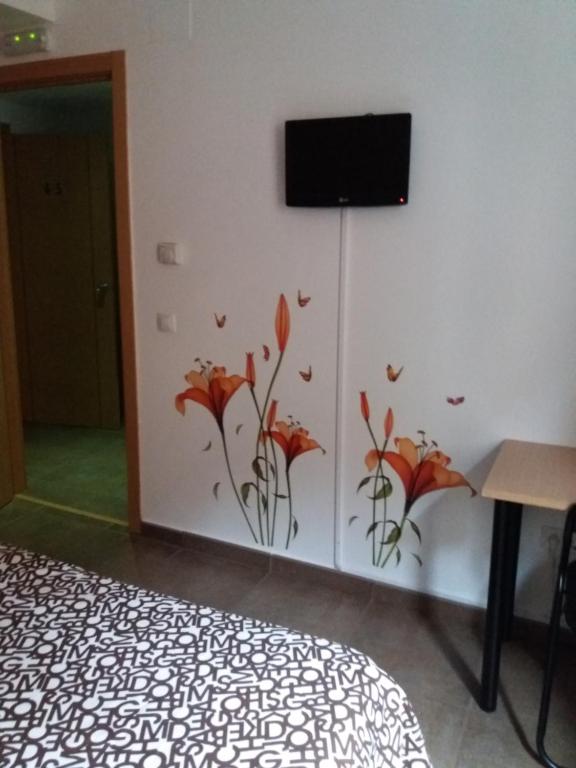 TV a/nebo společenská místnost v ubytování Hostal la Catedral