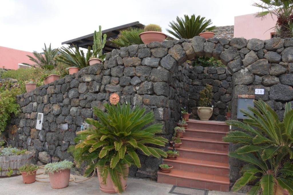un muro di pietra con un mucchio di piante in vaso di Le Due Cycas a Pantelleria