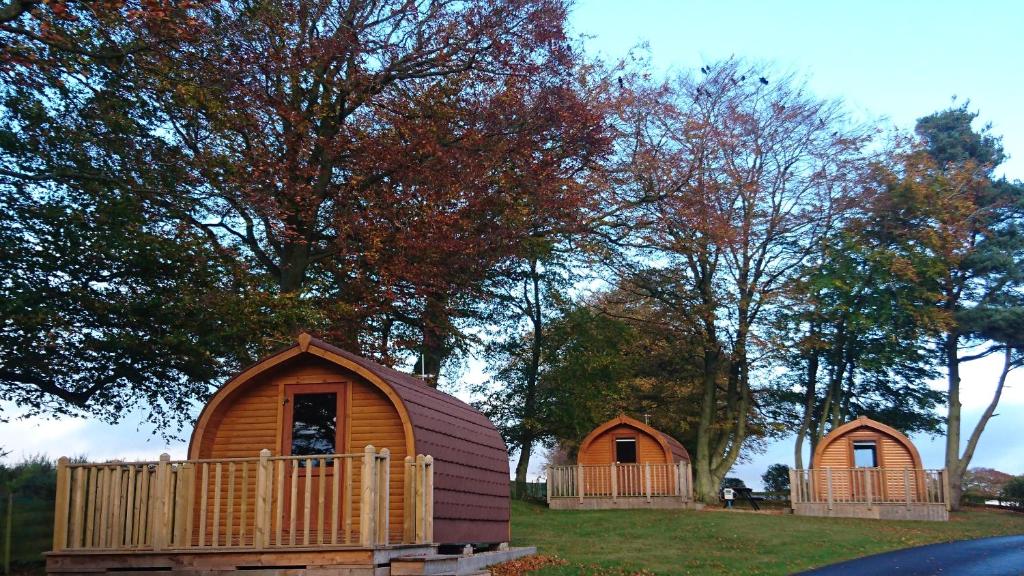 un paio di piccole case in un campo di Drumshademuir Caravan & Camping Park a Glamis