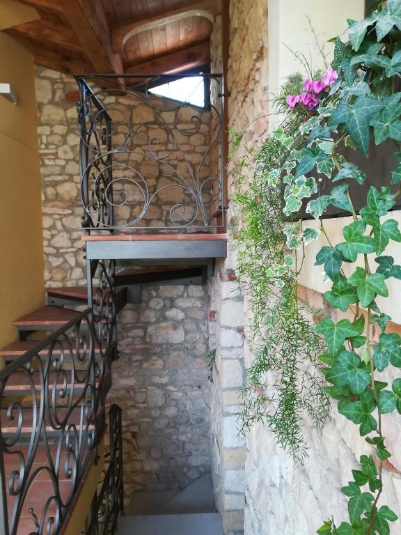 Fotografie z fotogalerie ubytování Corte Tre Vigne v destinaci Marano di Valpolicella