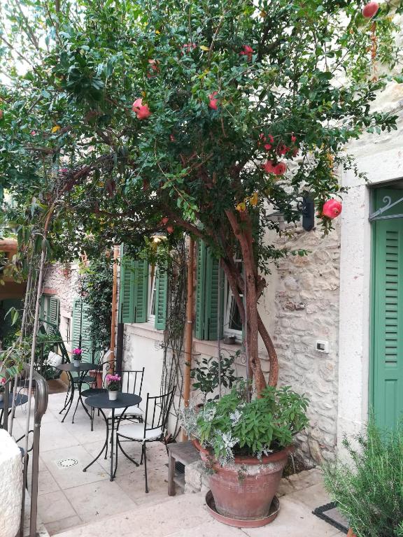Zahrada ubytování Corte Tre Vigne