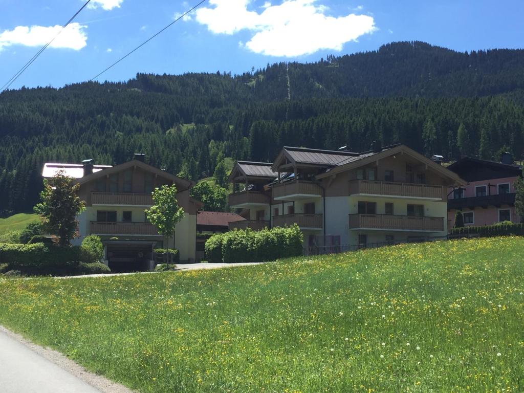 um grupo de casas numa colina com um campo de relva em Kaiserhaus Leogang em Leogang