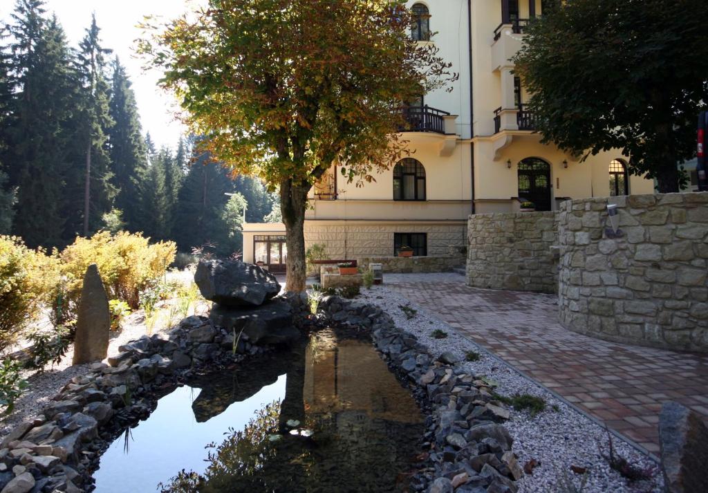 Příroda nedaleko hotelu
