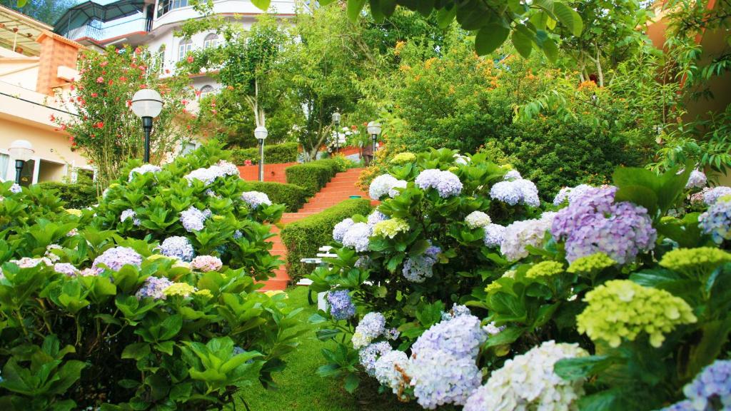 Zahrada ubytování Kodai Resort Hotel, Kodaikanal