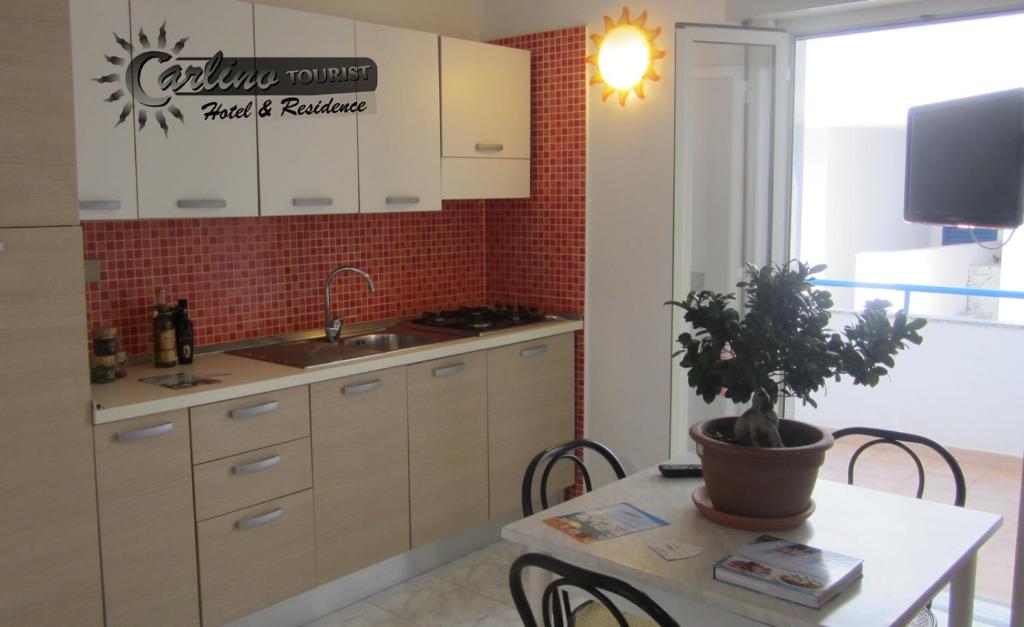 a kitchen with a table with a potted plant on it at Appartamenti Baia Verde Gallipoli di Carlino Tourist in Gallipoli