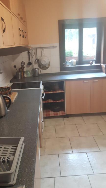 Kuchyň nebo kuchyňský kout v ubytování Šumavská Barborka