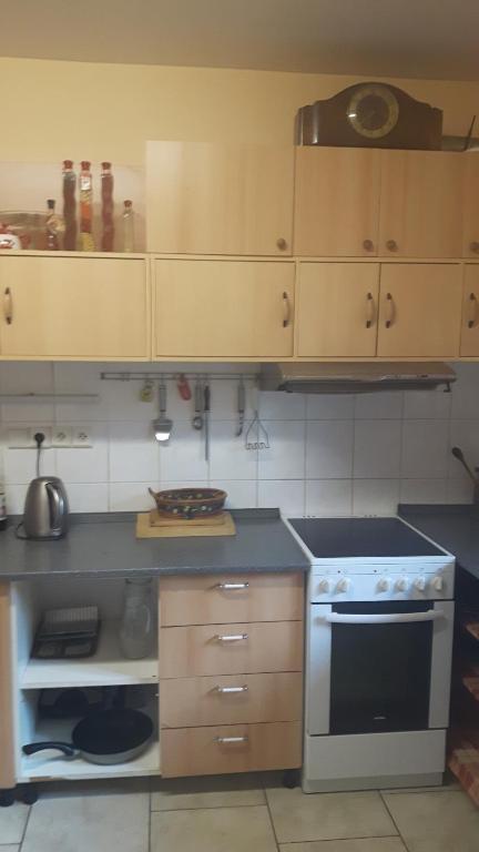 Kuchyň nebo kuchyňský kout v ubytování Šumavská Barborka