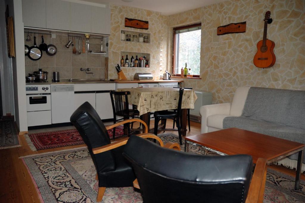 a kitchen and living room with a table and a couch at Nordwand Apartment in Tauplitz