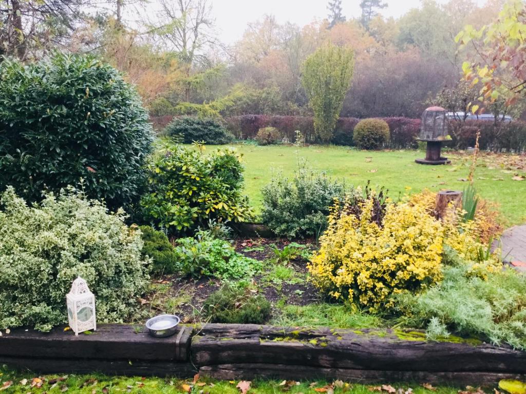 Zahrada ubytování Le jardin des Biches