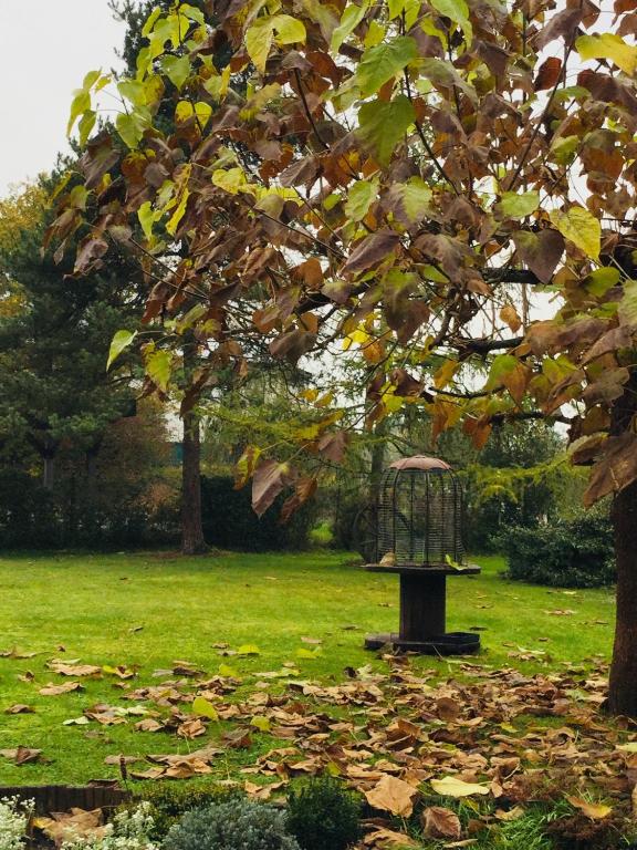 Zahrada ubytování Le jardin des Biches