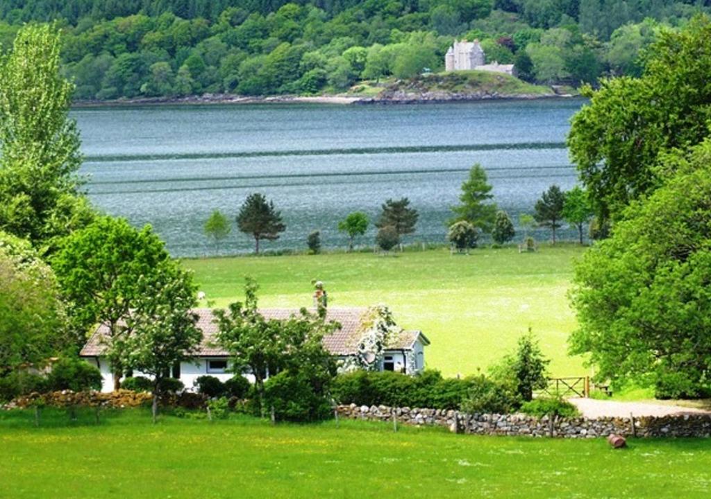 a house in a field next to a body of water at Ardno Cottage by Loch Fyne in Cairndow