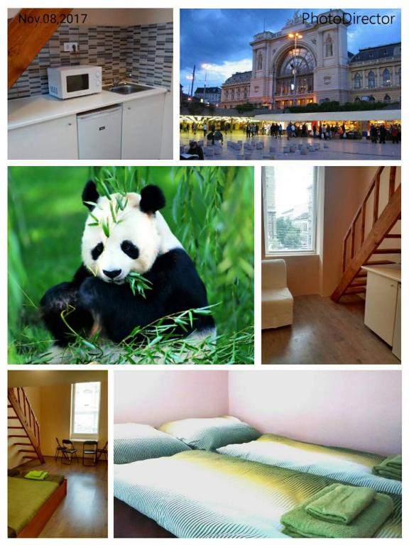 eine Collage mit Fotos mit einem Panda-Bär im Gras in der Unterkunft Green Panda Apartments in Budapest
