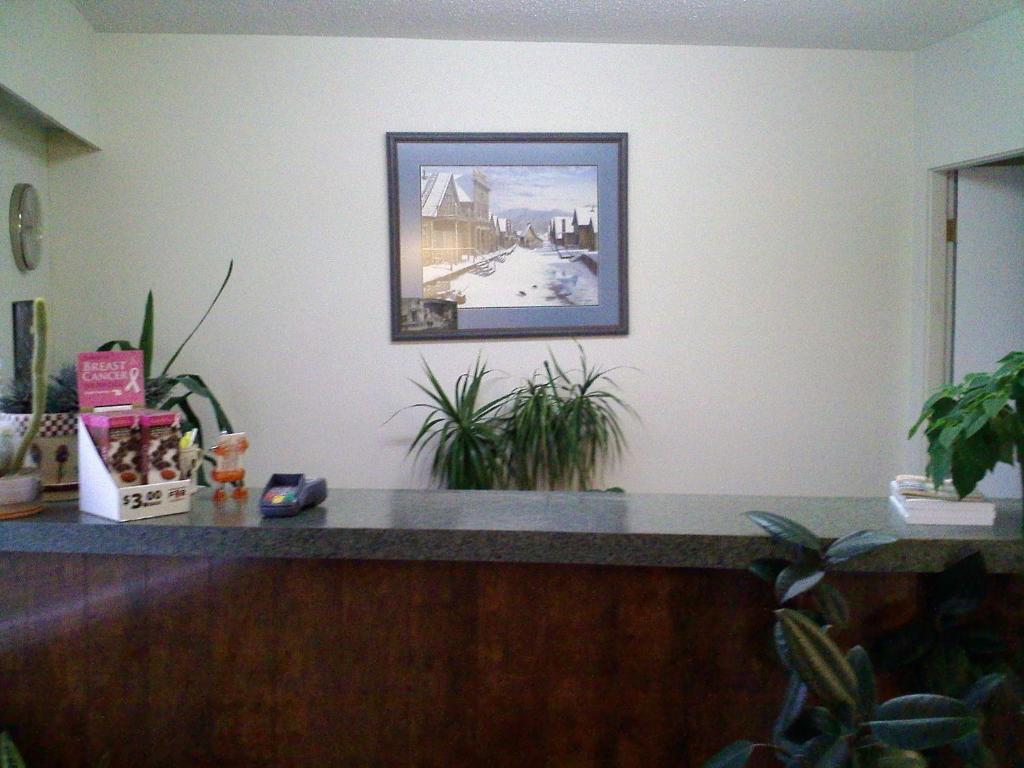 a picture hanging on a wall above a counter with plants at Caravan INN in Quesnel