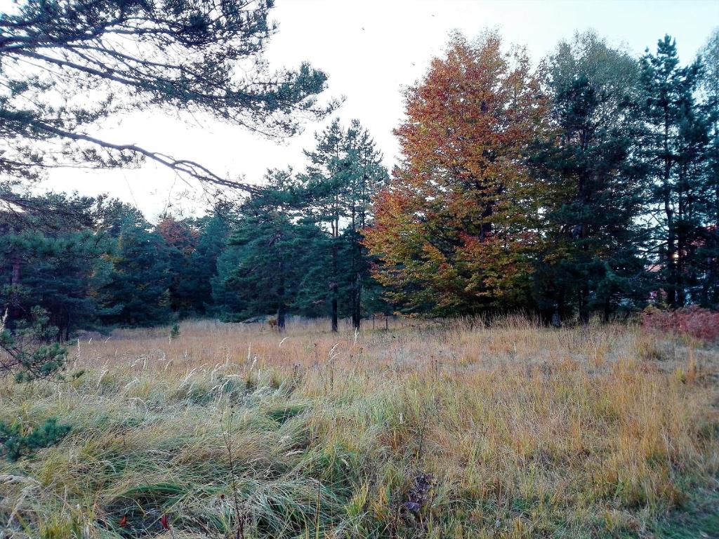 Příroda nedaleko apartmánu