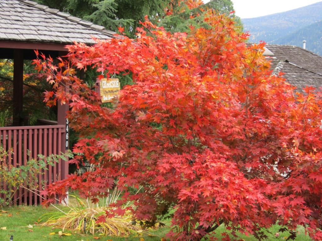 Nespecifikovaný výhled na hory nebo výhled na hory při pohledu z bed and breakfast