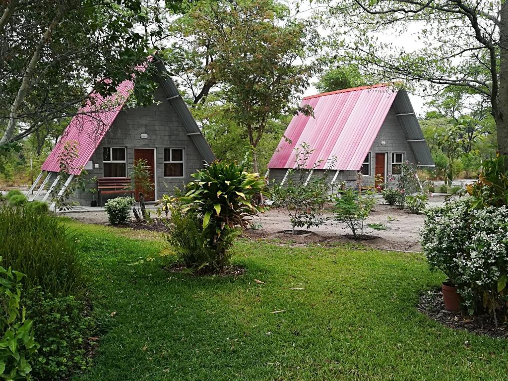 una casa con techo rosa y patio en Happy Forest B&B, en Katima Mulilo
