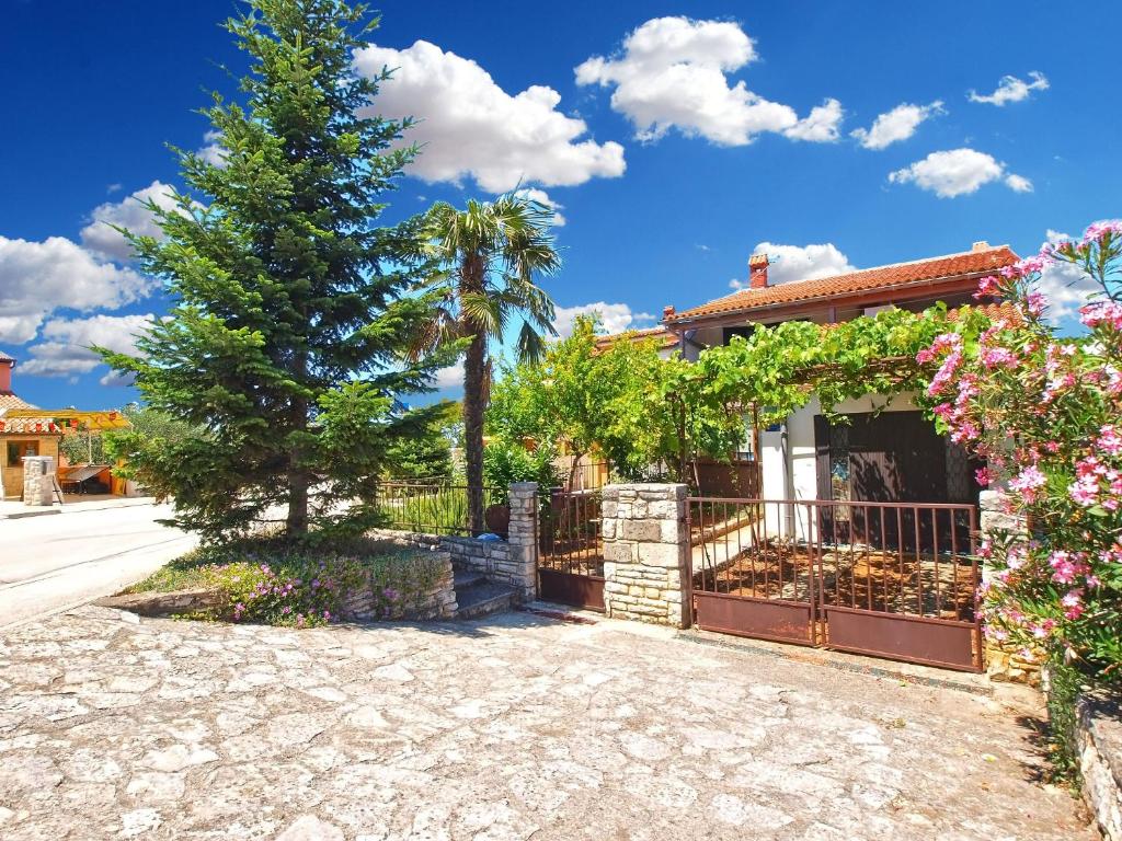 Apartment Vanga 533