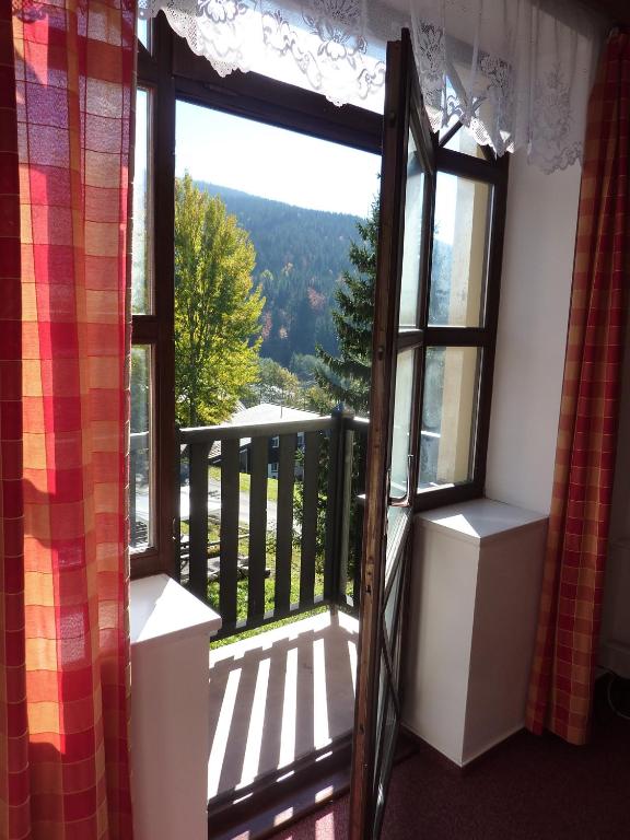 Pension Borůvka - Double Room