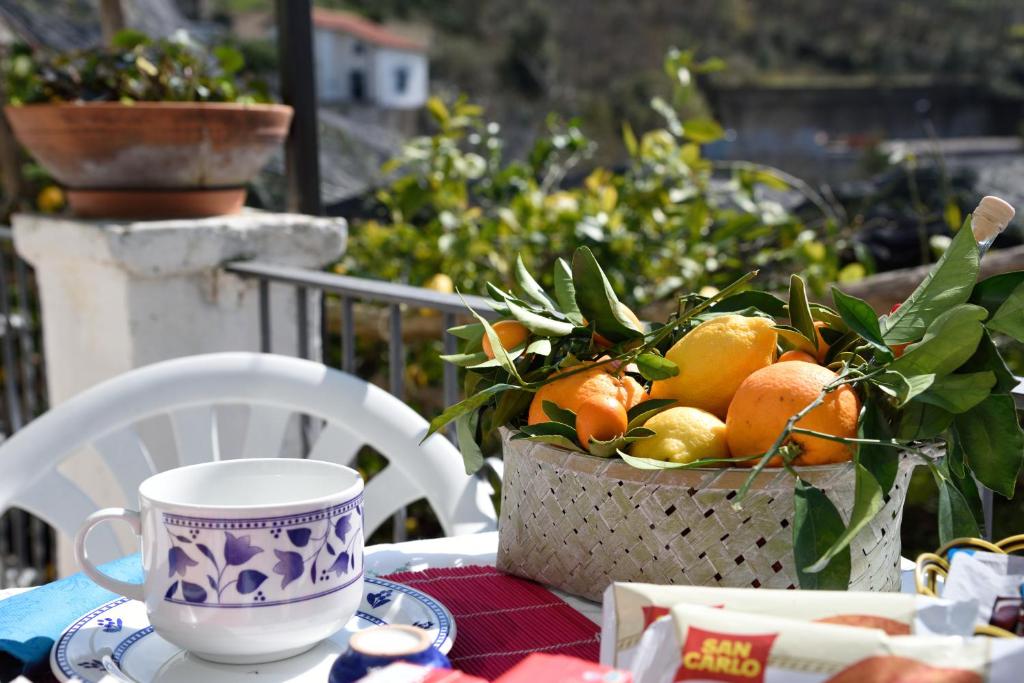 a table with a cup and a basket of oranges at B&B Iris in Conca dei Marini