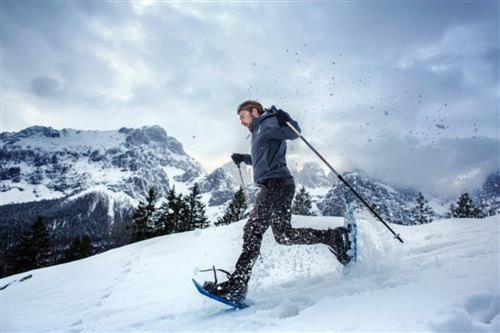 Alexander Hotel Alpine Wellness Dolomites v zimě
