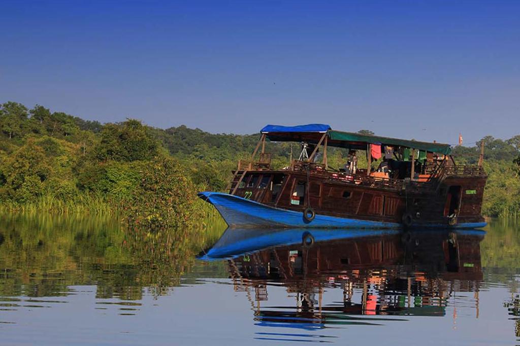Orangutan River Cruise