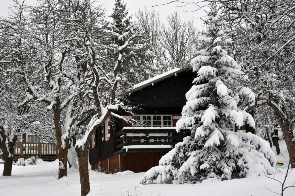 Camping, Hôtel De Plein Air Les Cariamas - Chalet De Tres Habitaciones