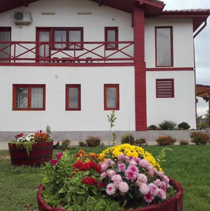 a house with a bunch of flowers in front of it at Pensiunea Simona in Perişor
