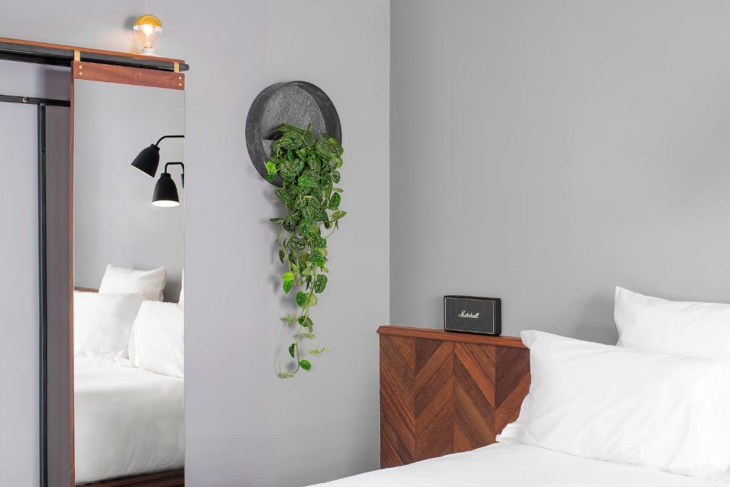 The Pilgrm - Resim 36