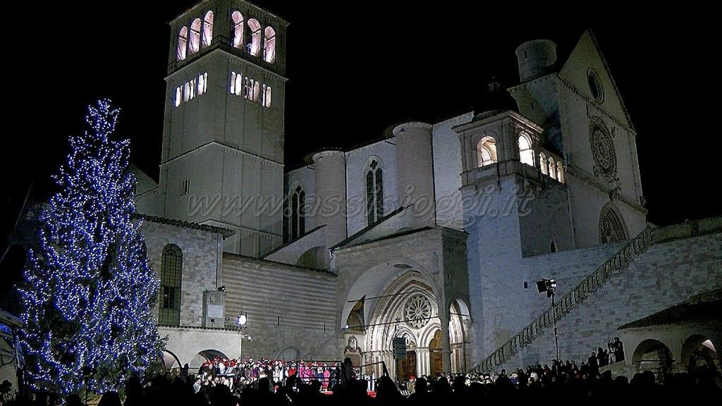 Zdjęcie z galerii obiektu Parcoverdepino w mieście Bastia Umbra