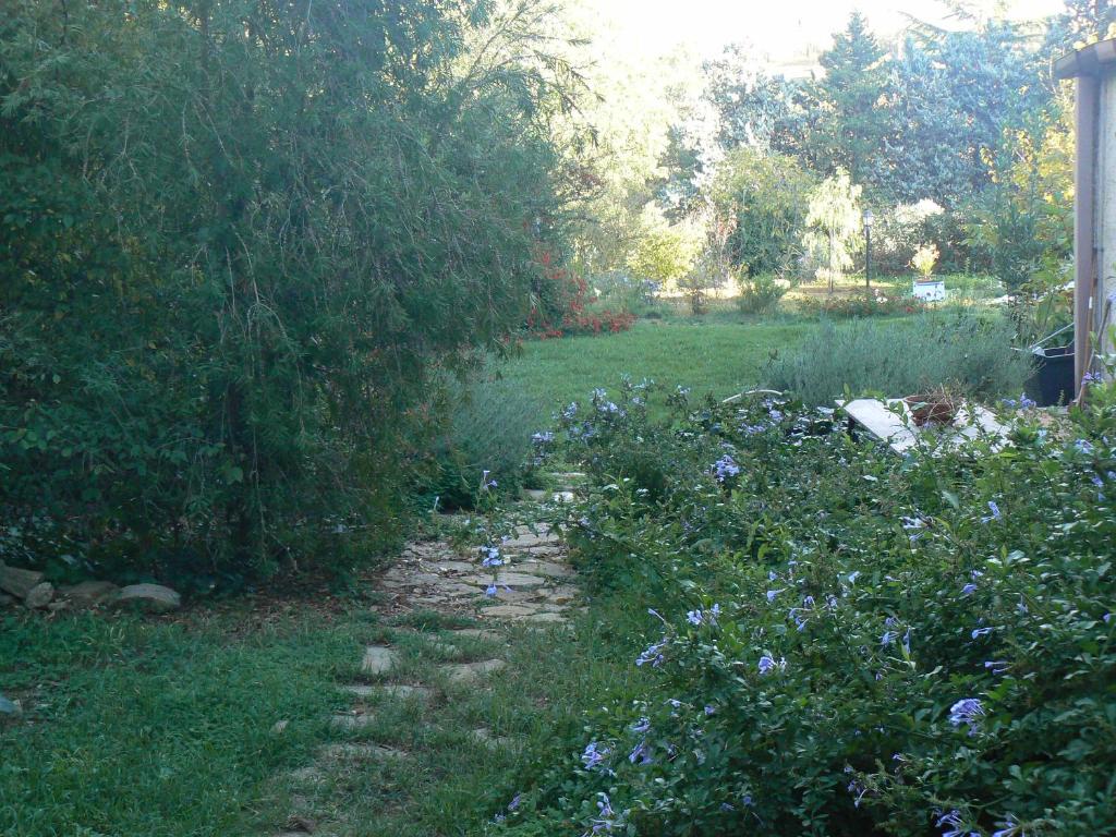 Ogród w obiekcie Appartamento in villa