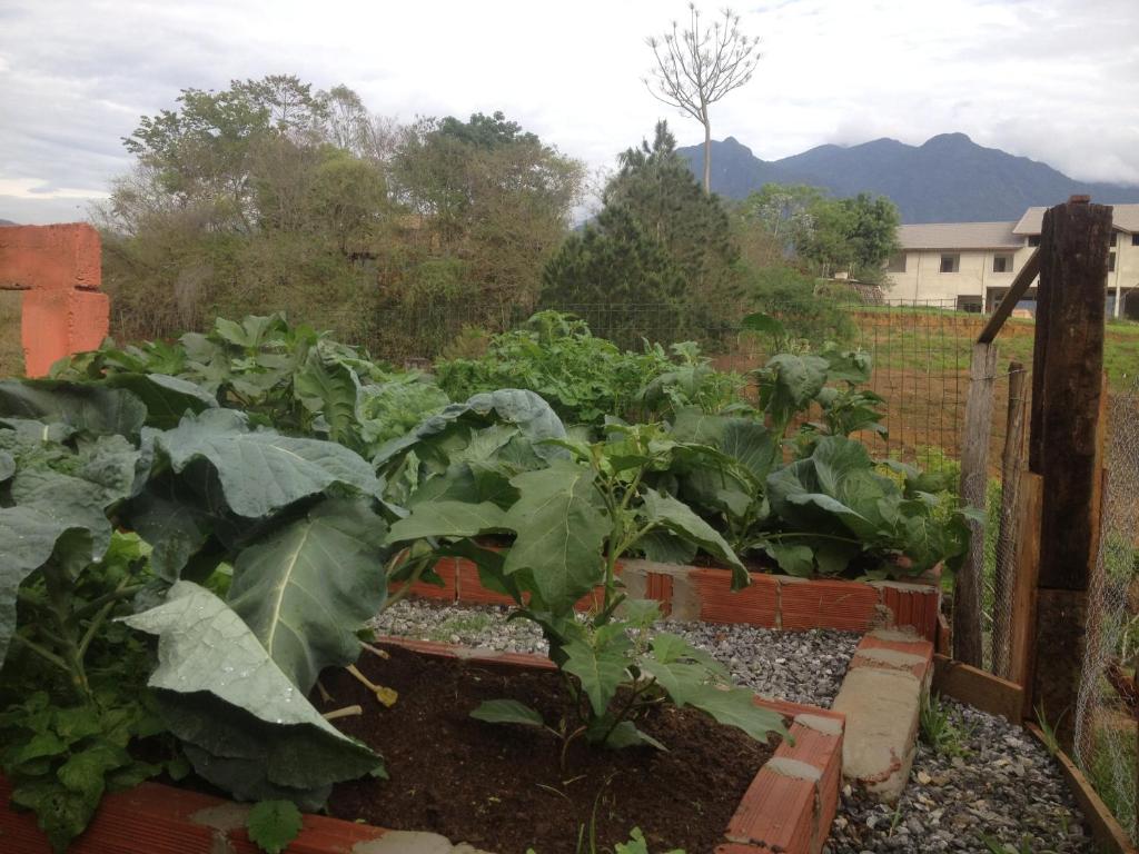  Chalé na Roça Penedo