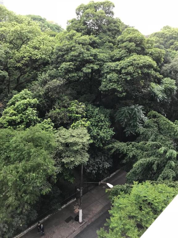  Loft at Paulista Avenue (no coração de S.Paulo)