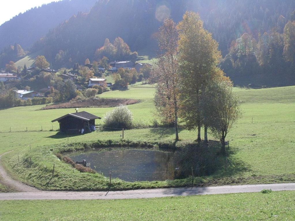 Paesaggio naturale nelle vicinanze del bed & breakfast
