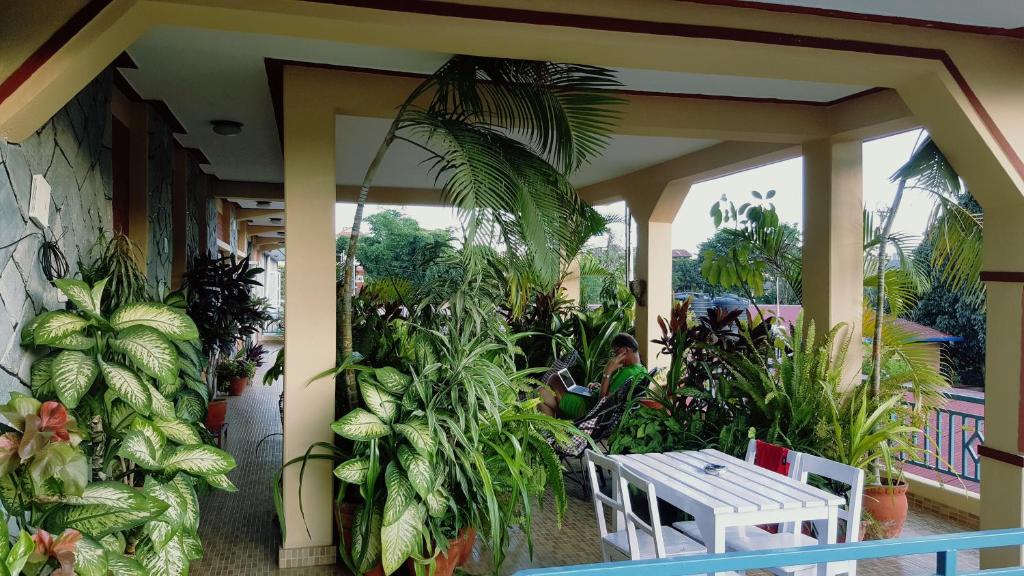 O grădină în afara Nanohana Lodge