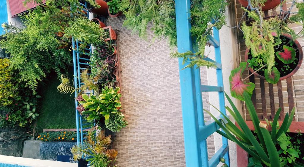 O grădină în afara Nanohana Lodge