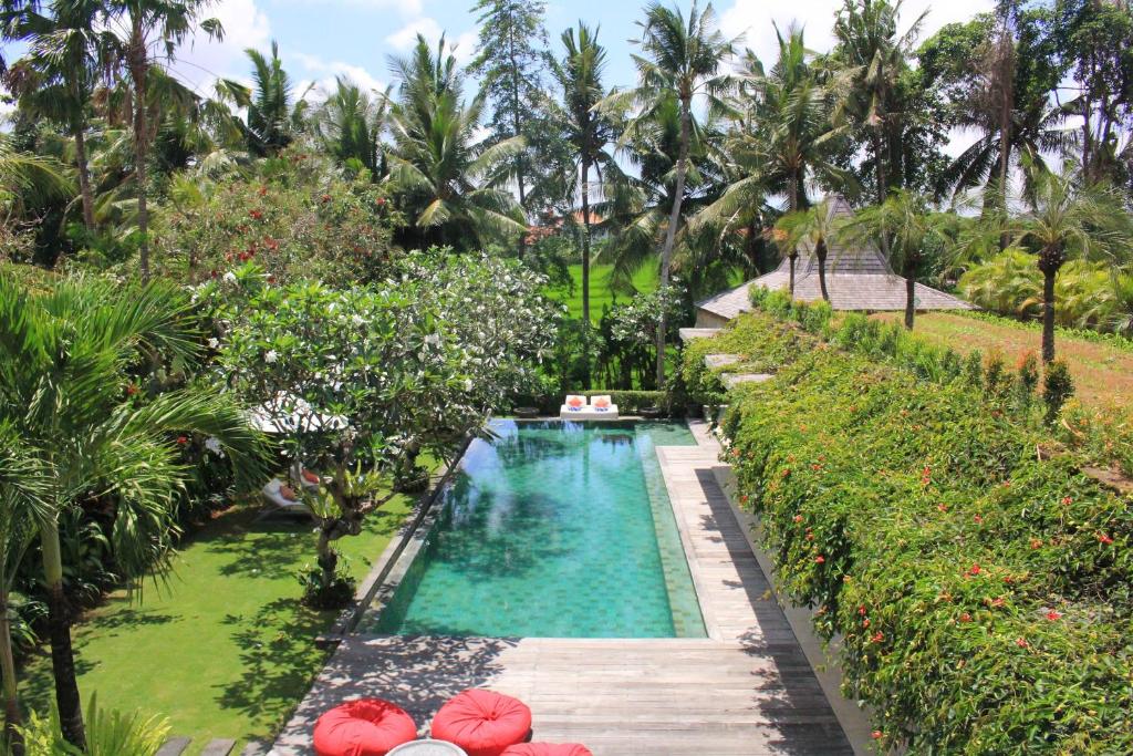 a swimming pool in a garden with palm trees at Villa Sally in Canggu