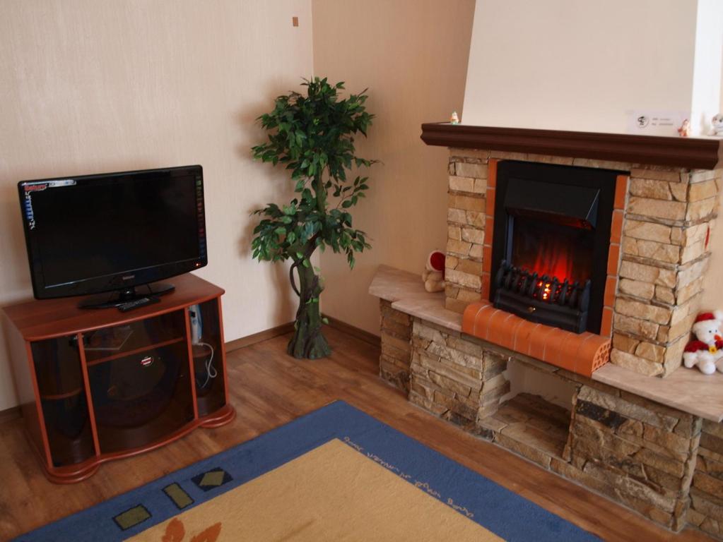 a living room with a fireplace and a television at Rent Zhytomyr Apart in Zhytomyr