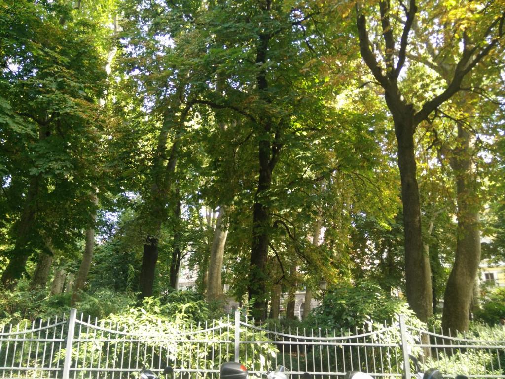 Vonkajšia záhrada v ubytovaní Casa Julí: 70mq-Centro-Trieste