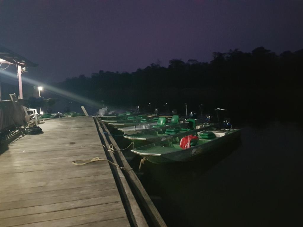  Amazon Arowana Lodge