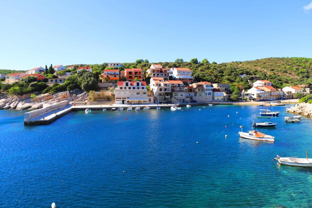 un groupe de bateaux dans une grande masse d'eau dans l'établissement Apartmani Juraj, à Zavalatica