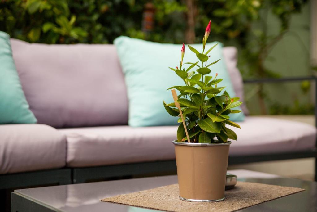 Hôtel Montaigne & Spa - Cannes Centre - Resim 25