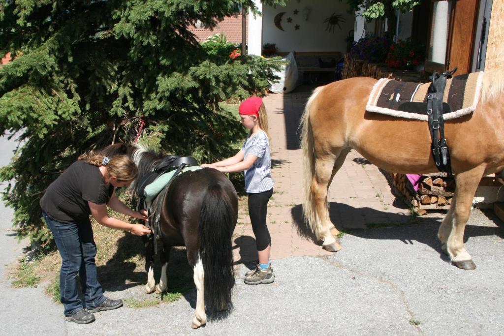 Zvířata v farmy nebo okolí