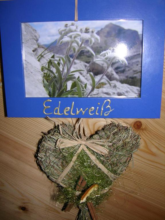 Fotografie z fotogalerie ubytování Naturerlebnis Lärchenhof v destinaci Fendels