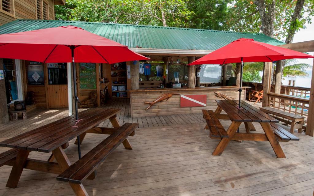 Restaurace v ubytování Blue Island Divers Casita Azul